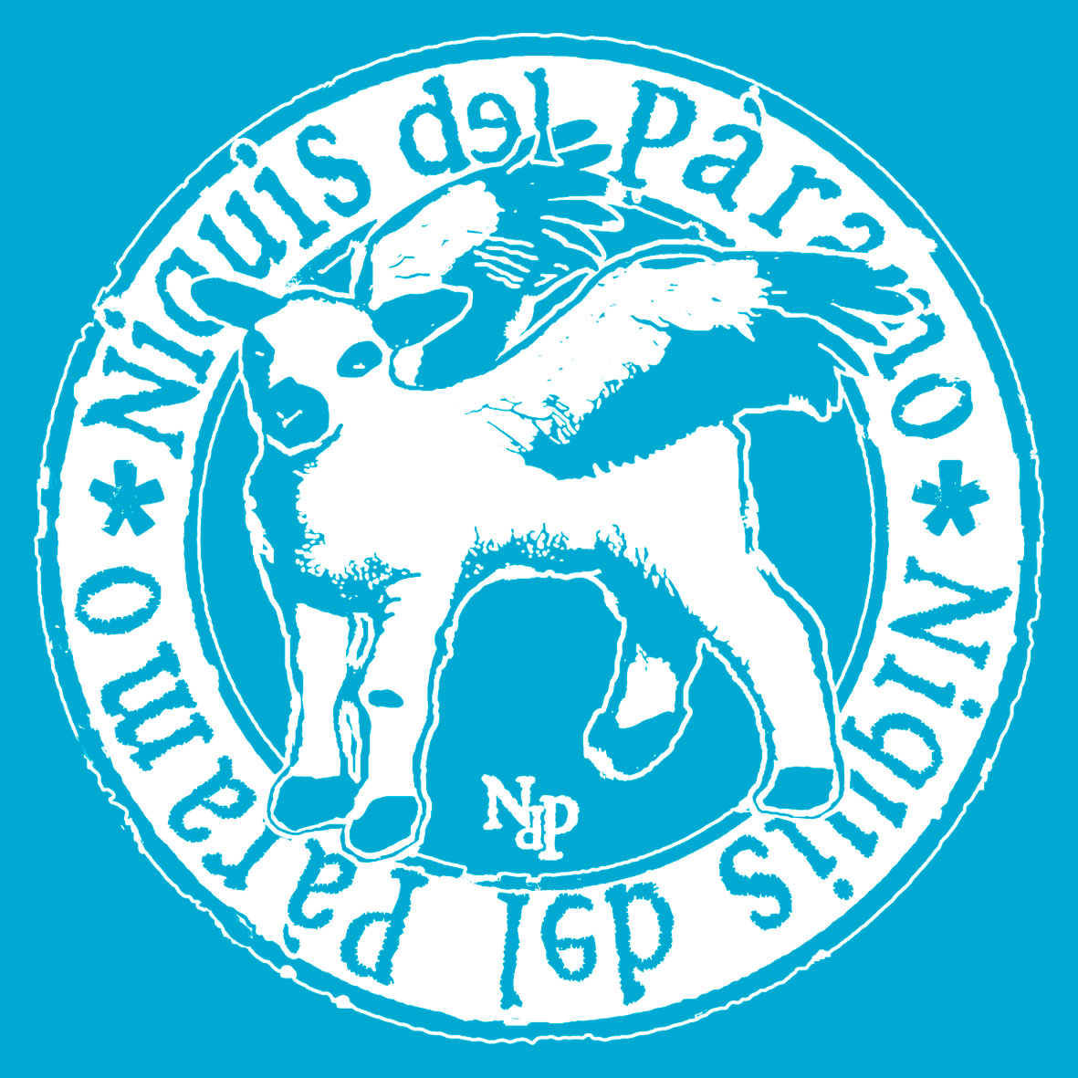 NIQUIS DEL PÁRAMO (Logo) Infantil - Imagen 15