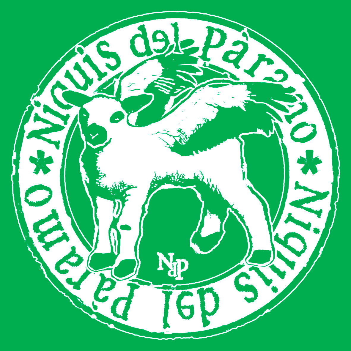 NIQUIS DEL PÁRAMO (Logo) Infantil - Imagen 11