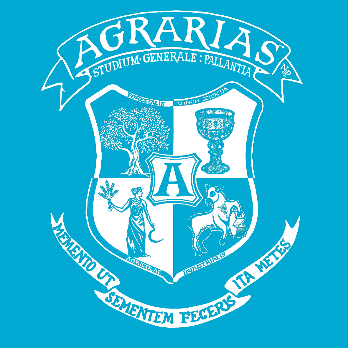AGRARIAS-Niquis-del-Páramo-FONDO-AZUL-TURQUESA