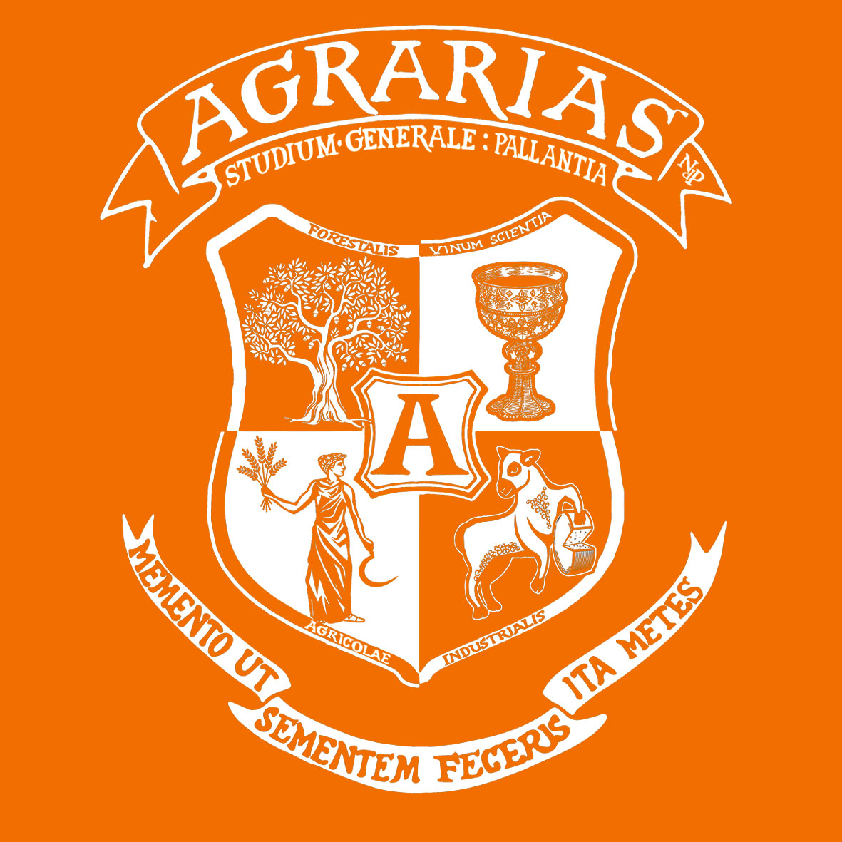 AGRARIAS-Niquis-del-Páramo-FONDO-NARANJA