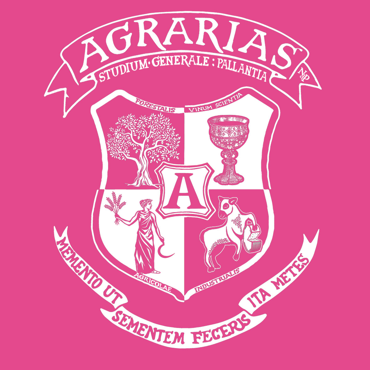 AGRARIAS-Niquis-del-Páramo-FONDO-ROSA-FUERTE