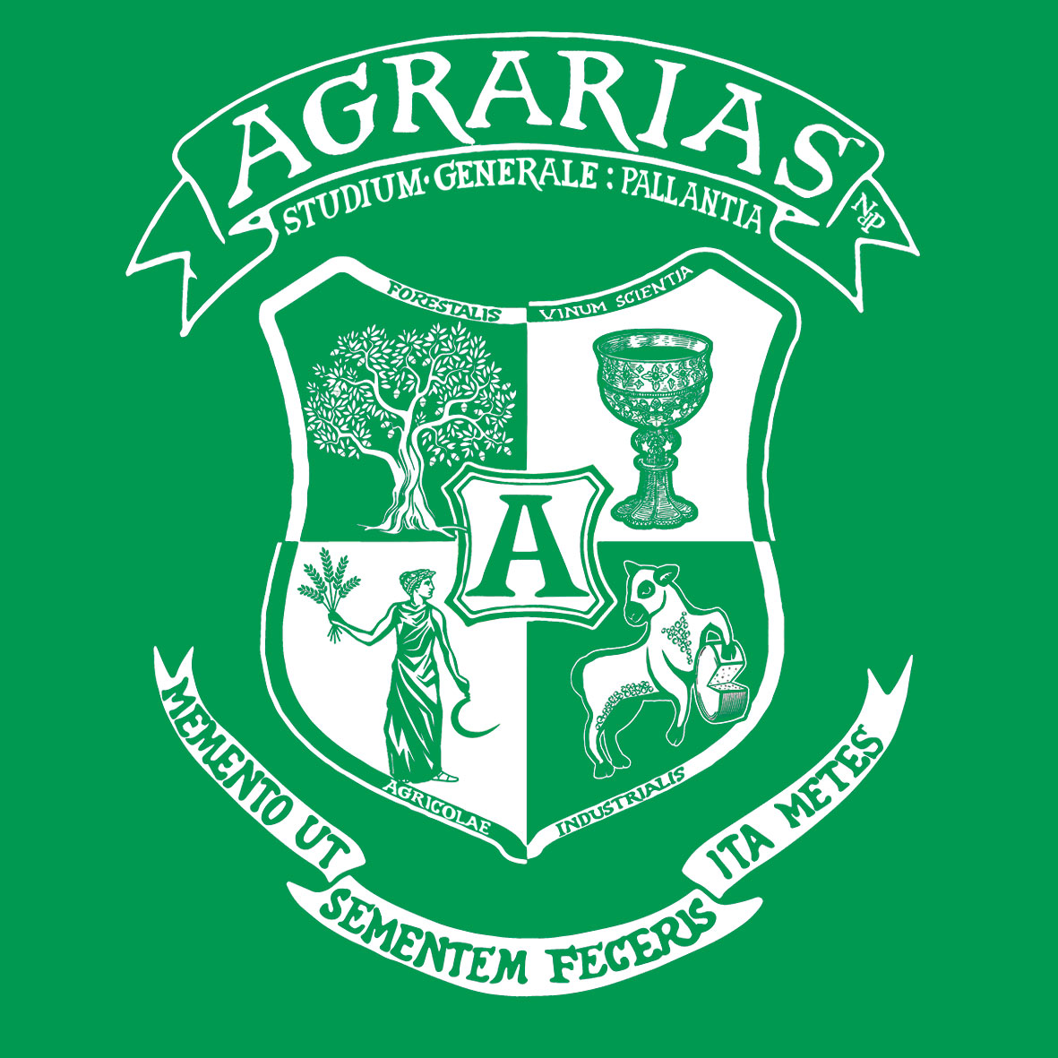 AGRARIAS-Niquis-del-Páramo-FONDO-VERDE-HIERBA