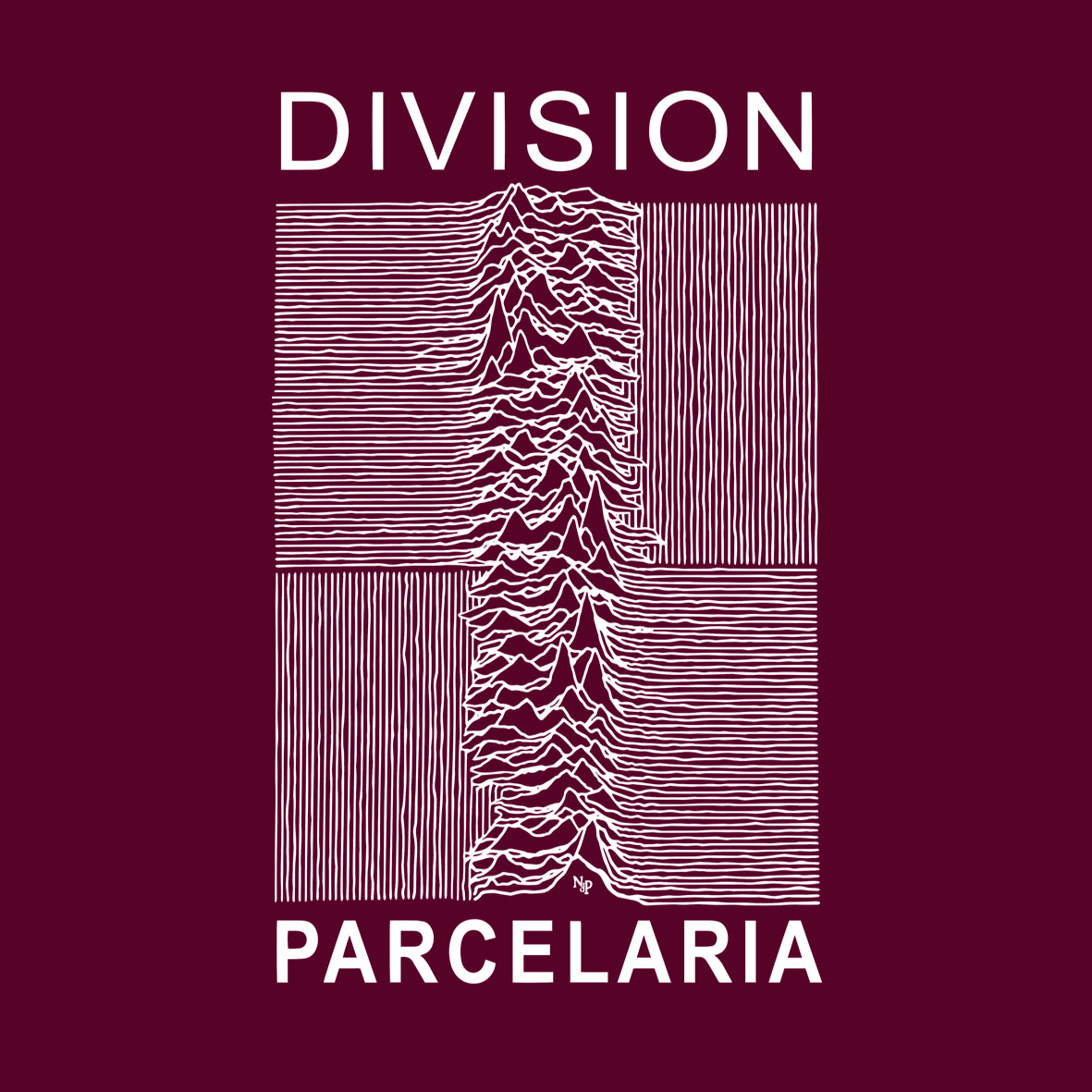 DIVISIÓN PARCELARIA Unisex - Imagen 16