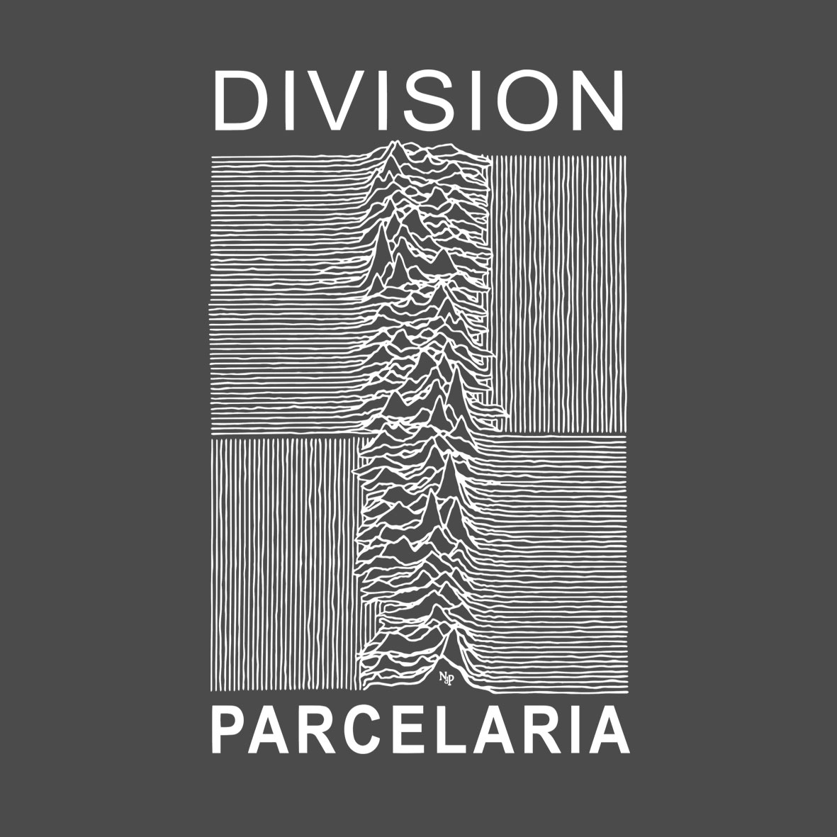 DIVISIÓN PARCELARIA Unisex - Imagen 15