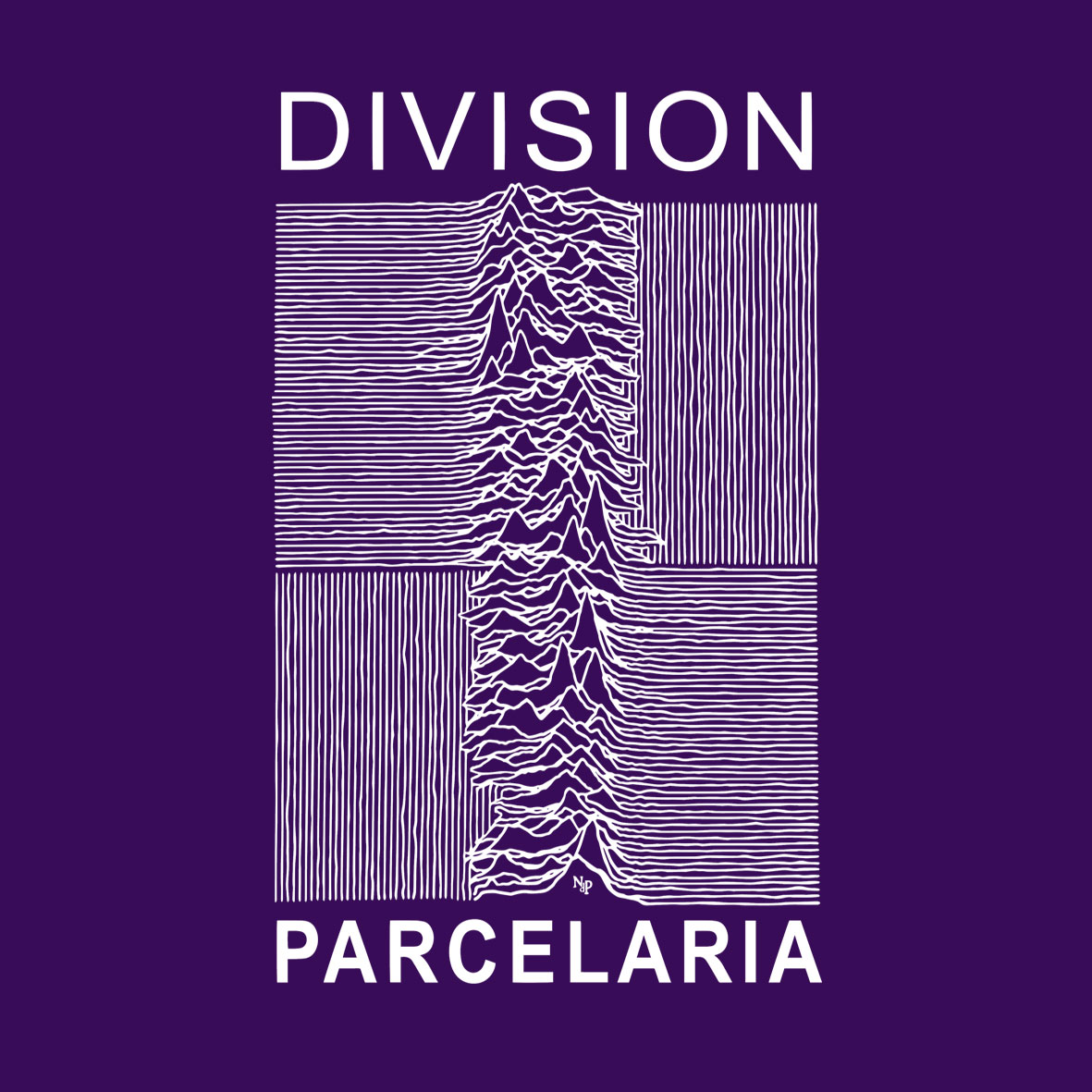 DIVISIÓN PARCELARIA Unisex - Imagen 14