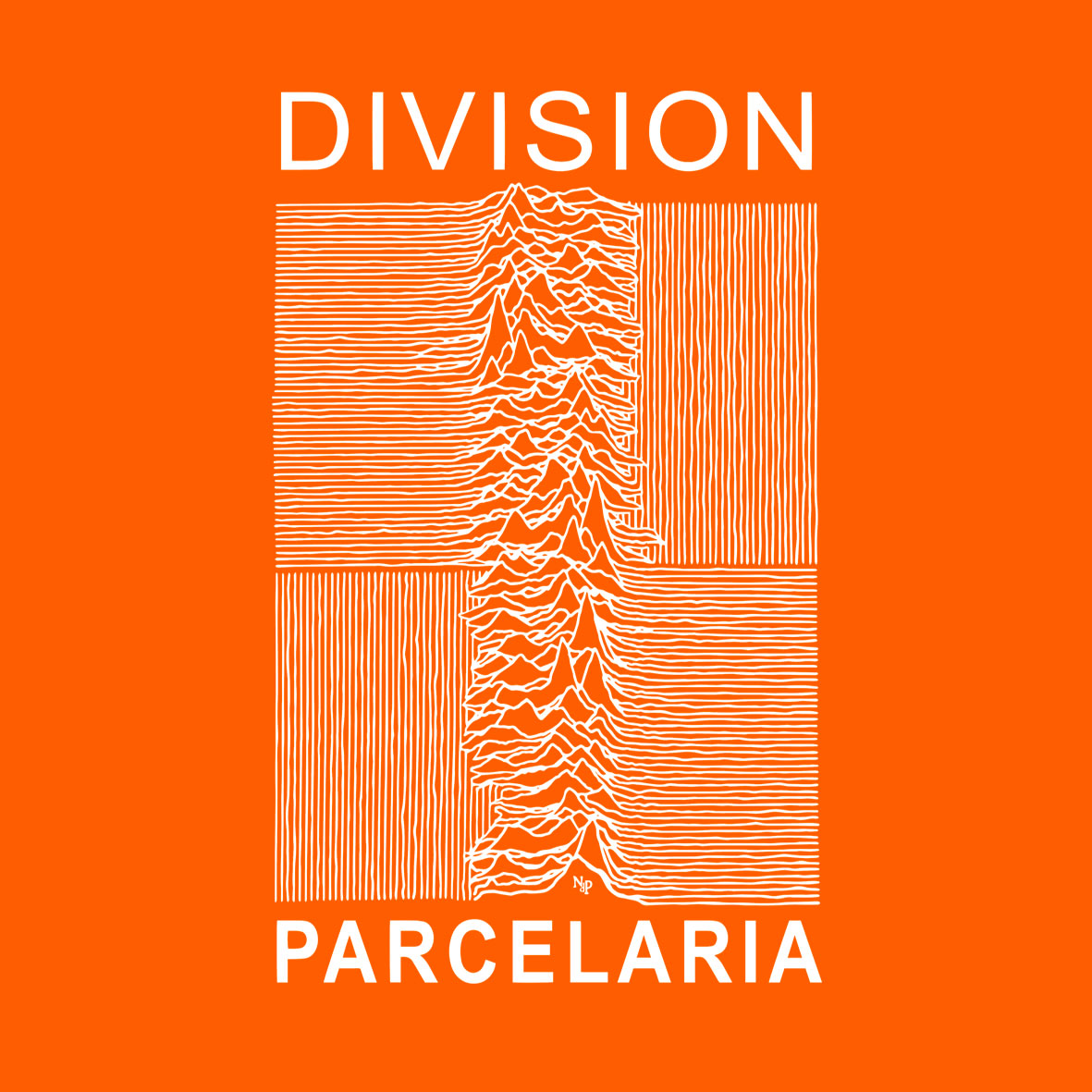 DIVISIÓN PARCELARIA Infantil - Imagen 14