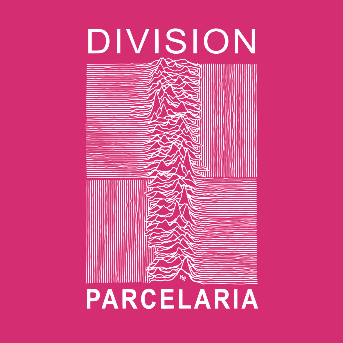 DIVISIÓN PARCELARIA Infantil - Imagen 10