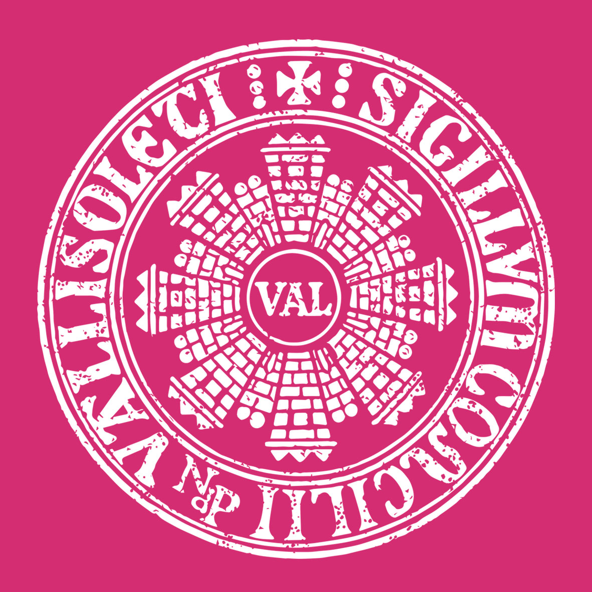 VALLISOLETI-SIGILLUM Infantil - Imagen 12