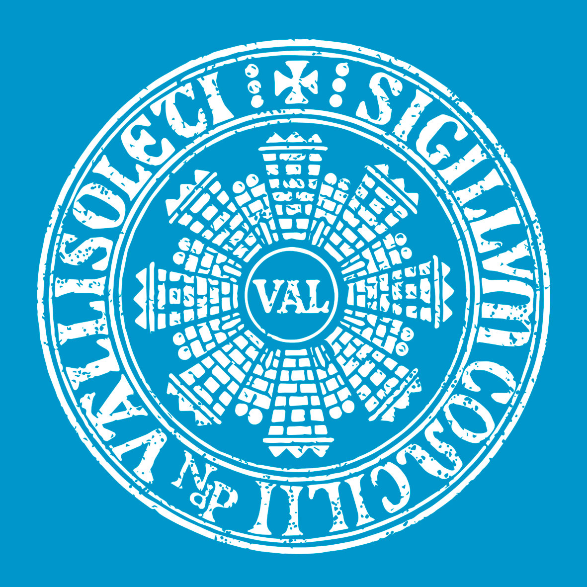 VALLISOLETI-SIGILLUM Infantil - Imagen 11