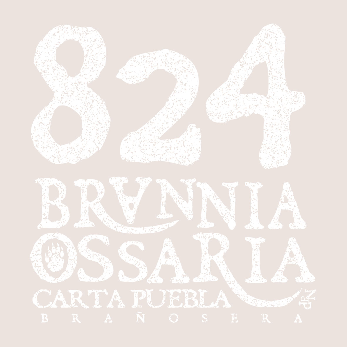 BOLSA BRAÑOSERA - Imagen 6